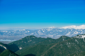 Naklejka premium Snowy alpine peaks rise above valley with endless forest