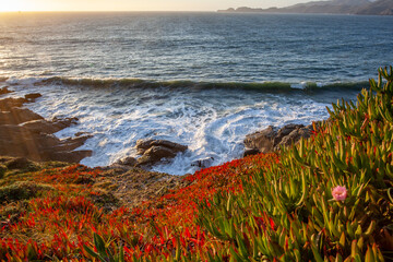 Pacific Ocean Sunset from the Cliffs of San Francisco, California