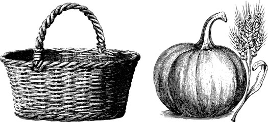 Fototapeta premium Vintage engraved illustration set featuring harvest basket, pumpkin, and wheat for autumn design