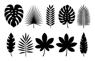 Collection of Black Silhouette Tropical Leaves on White Background