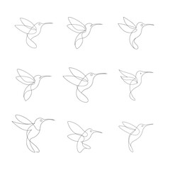 9 icon hummingbird line illustration eps vector