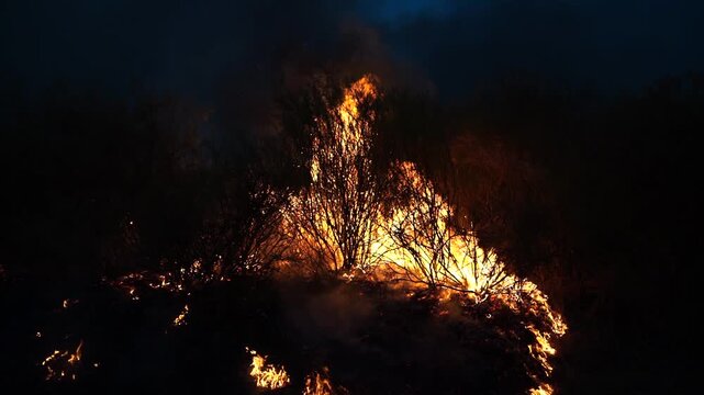 Retamas ardiendo en Galicia 2025 Agosto