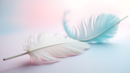 Naklejka premium A delicate feather on a soft pastel background. A serene and minimalist design with a peaceful white and blue gradient. A concept for dreams, freedom, and lightness. Generative Ai.
