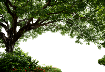 PNG Outdoors weather nature frame.