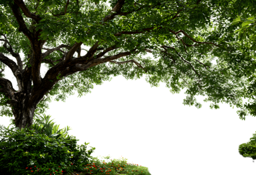 PNG Outdoors weather nature frame.