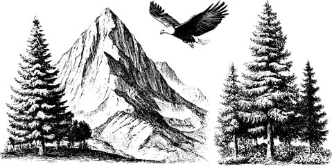 Highland serenity: engraved mountain and forest scene featuring majestic eagle
