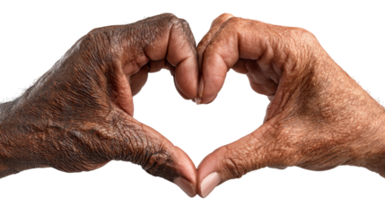 anti-racism friendship concept - White caucasian and black afro american old men hands, in the shape of a heart, isolated on white or transparent background. png..