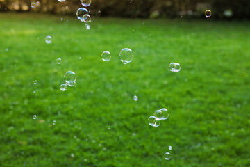 Beautiful transparent soap bubbles floating in park