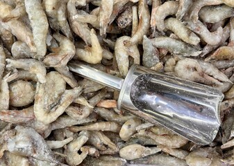 Royal grey prawns are sitting in the fridge in the supermarket, which are perfect for seafood lovers all over the world. Fresh shrimps that are just waiting to be turned into delicious seafood dishes