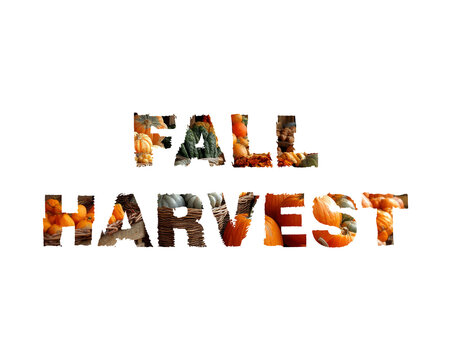 Fall harvest text effect with pumpkins and autumn vegetables