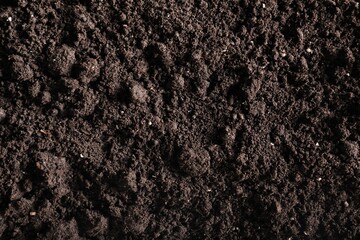 Fresh soil as background, top view. Organic matter