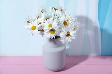 Beautiful chamomile flowers in vase on pink wooden table against color background, closeup