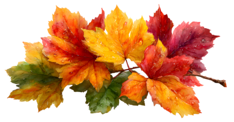 Autumn Leaves illustration 03