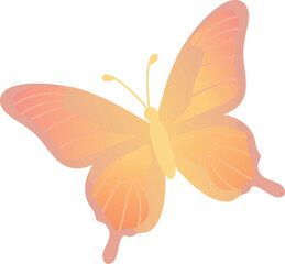Peach and Yellow Butterfly Illustration