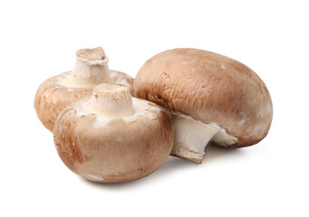 Fresh raw champignon mushrooms isolated on white
