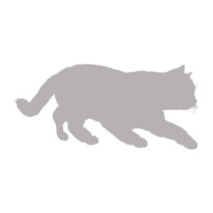 Silhouette of a fluffy cat in motion on a black background