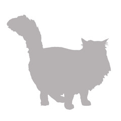 Silhouette of a fluffy cat standing against a black background