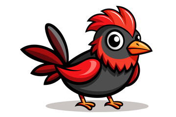 rooster isolated on white background