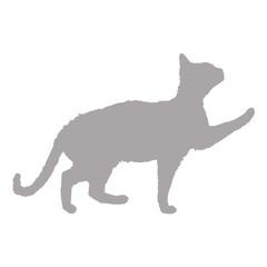 Silhouette of a gray cat reaching out its paw