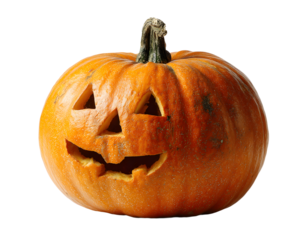 A single lit spooky halloween carved pumpkin, Jack O Lantern with evil face and eyes isolated against a transparent background looking to the right.