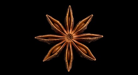 Star Anise Symphony