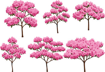 Obraz premium PrintBeautiful Pink Azalea Flower Trees Collection for Garden Design, Botanical Illustrations, Nature Art, Seasonal Decoration, and Floral Projects