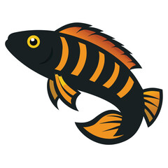 vector illustration of a fish