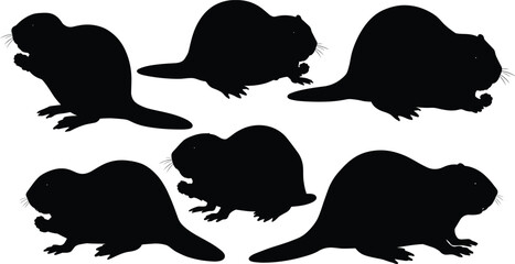 Silhouettes of beavers in various poses, perfect for nature, wildlife, and animal illustrations, showcasing these industrious creatures in black vector style.