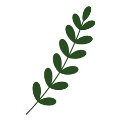 Simple Olive Leaf Twig – Natural Green Botanical Vector Design