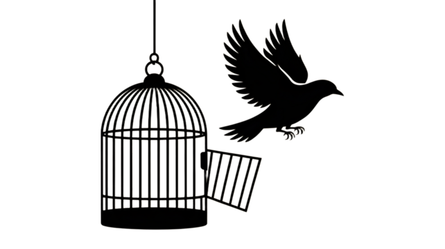 Bird soars to freedom escaping open cage against a stark art