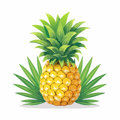Fototapeta premium Ananas