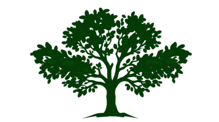 Green Tree Illustration – Stylized Symmetrical Graphic Silhouette with Trunk, Branches, and Leaves Isolated on Transparent Background