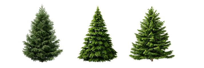 Three green christmas trees arranged at different angles for festive holiday decorations