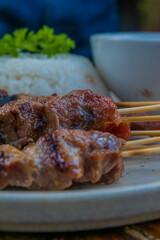 Delicious grilled meat skewers with rice, perfect for food blogs and culinary projects