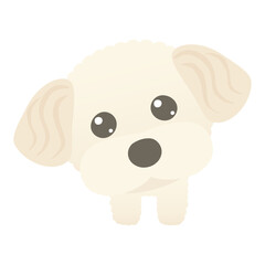 上目遣いの可愛い犬のマルプーのイラスト