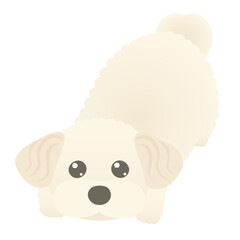 伏せながら上目遣いをする犬のマルプーのイラスト