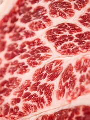 Obraz premium Close-up of Marbled Beef Slices