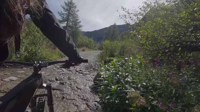 Sorgenti del Presena | ALPI ITALY