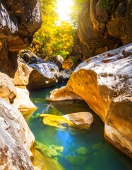Sunlight streams through a tranquil canyon