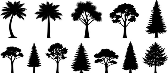 Diverse tree silhouettes including palms and conifers