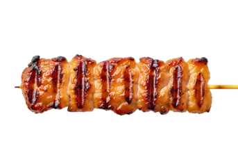 Close-up view of a skewered grilled meat, showcasing the rich brown tones and grill marks.