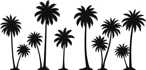 silhouette of palm trees on transparent background