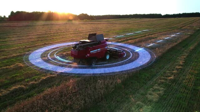 Aerial view of an autonomous combine harvester working in a golden wheat field at sunset. Futuristic technologies in agriculture. Unmanned vehicles harvest crops. GPS assisted navigation. 4k footage