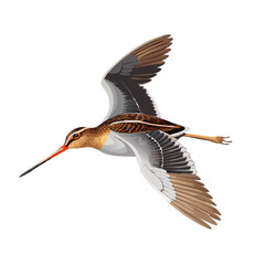 black stork in flight