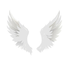 dove with wings
