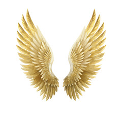 golden wings isolated on white