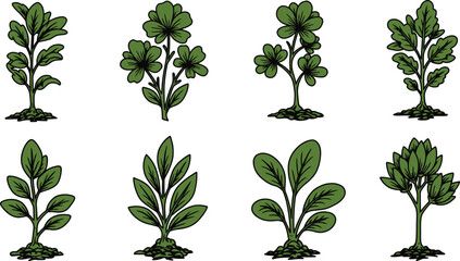 various types of plants illustrated in simple green drawings