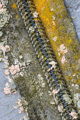 Zipper exposed to the outdoor elements.