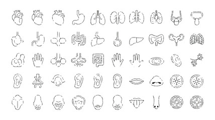Human body organs line icons set anatomical structure and medical symbols for healthcare design and educational purposes