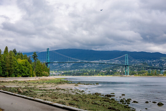 A view of the Lions Gate Bridge looking north from Stanley Park in Vancouver, Canada on a cloudy, overcast day
